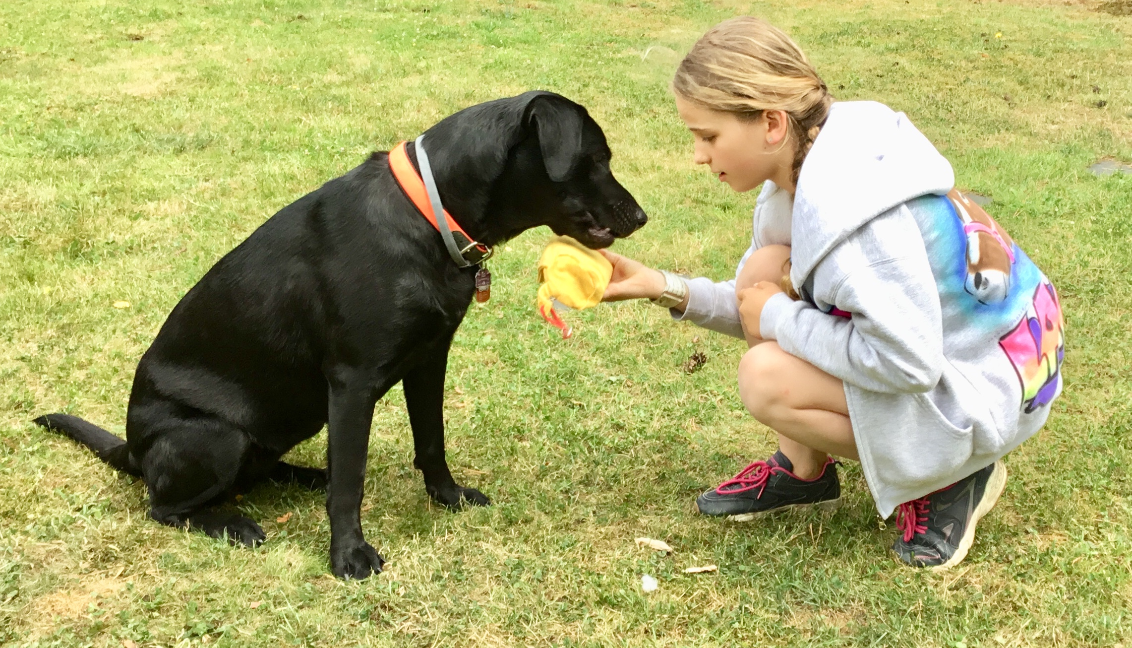 Lissi hält Medibox Diabetes Anzeige Hund